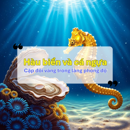Hàu Biển Và Cá Ngựa – Cặp Đôi Vàng Trong Làng Phong Độ
